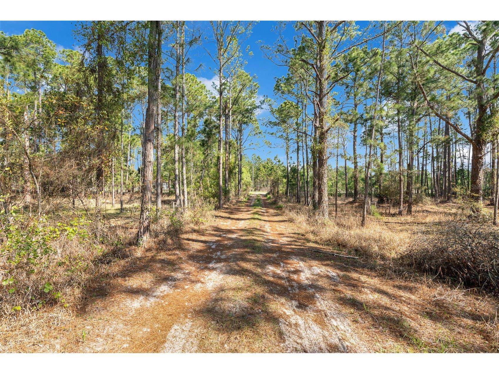 32404 Highland Lakes Road Deland FL 32720 G5110042 image21