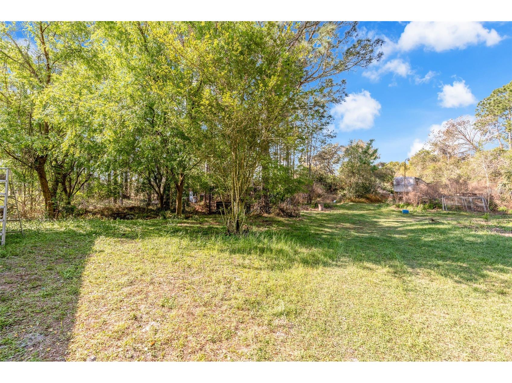 32404 Highland Lakes Road Deland FL 32720 G5110288 image22