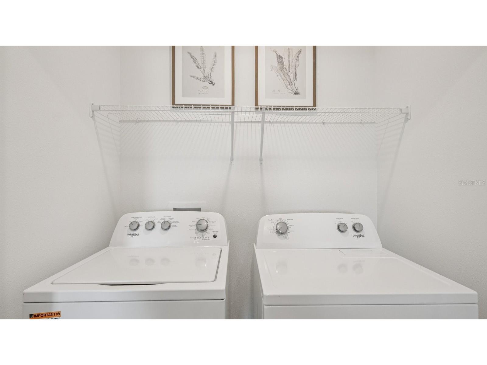 32409 Welling Blade Loop Wesley Chapel FL 33545 TB8502276 image29