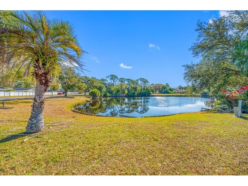 3241 Buckhorn Dr Clearwater FL 33761 TB8471262 image36