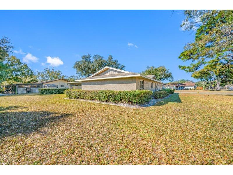3241 Buckhorn Dr Clearwater FL 33761 TB8471262 image39