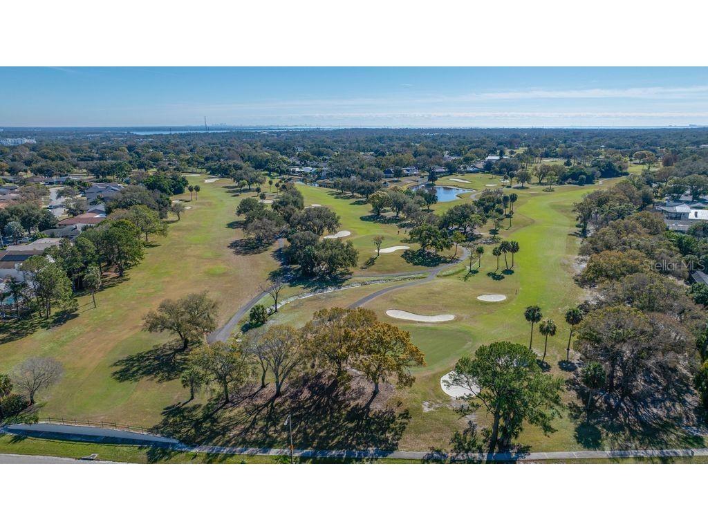3241 Buckhorn Dr Clearwater FL 33761 TB8471262 image40