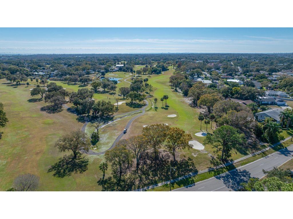 3241 Buckhorn Dr Clearwater FL 33761 TB8471262 image41