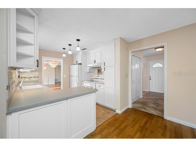 3241 Buckhorn Dr Clearwater FL 33761 TB8471262 image5