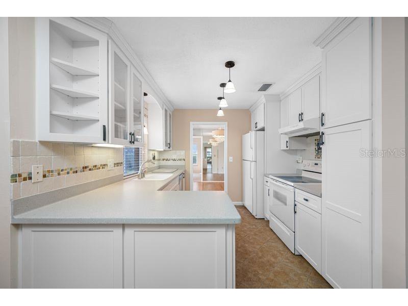 3241 Buckhorn Dr Clearwater FL 33761 TB8471262 image6