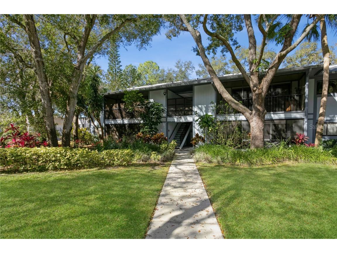 3241 Fox Chase Circle N #204 Palm Harbor FL 34683 T3427349 image1