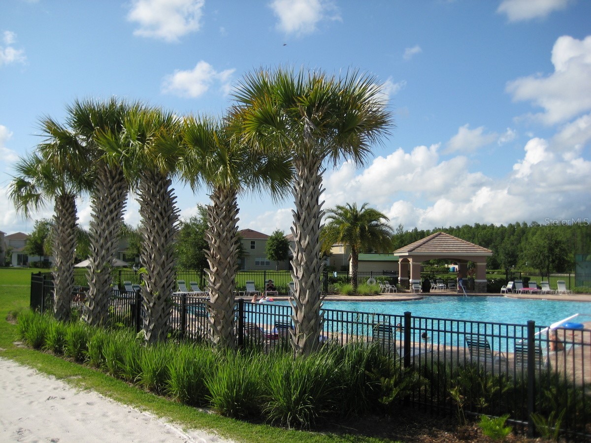 3241 Gianna Way Land O Lakes FL 34638 TB8528871 image19