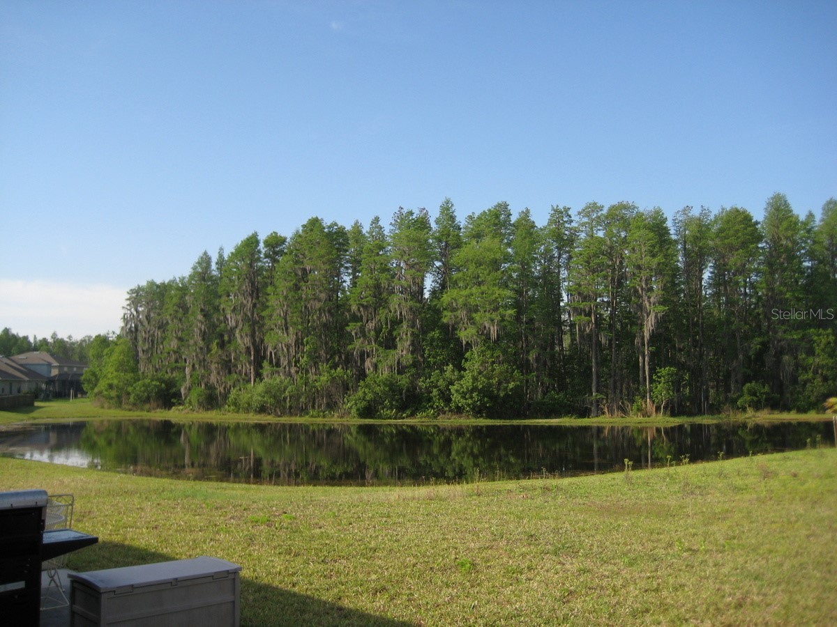 3241 Gianna Way Land O Lakes FL 34638 TB8528871 image21