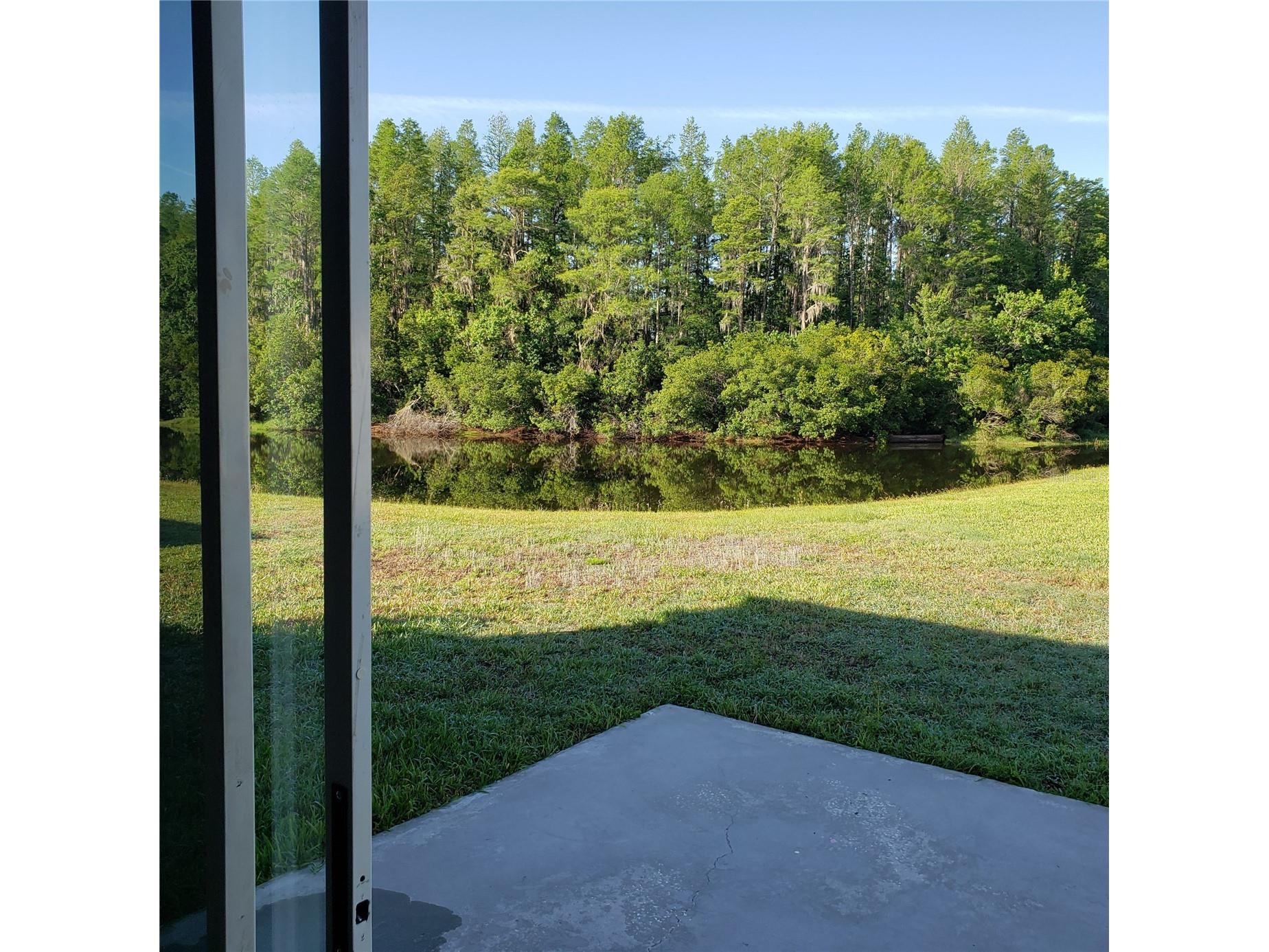 3241 Gianna Way Land O Lakes FL 34638 TB8528871 image8