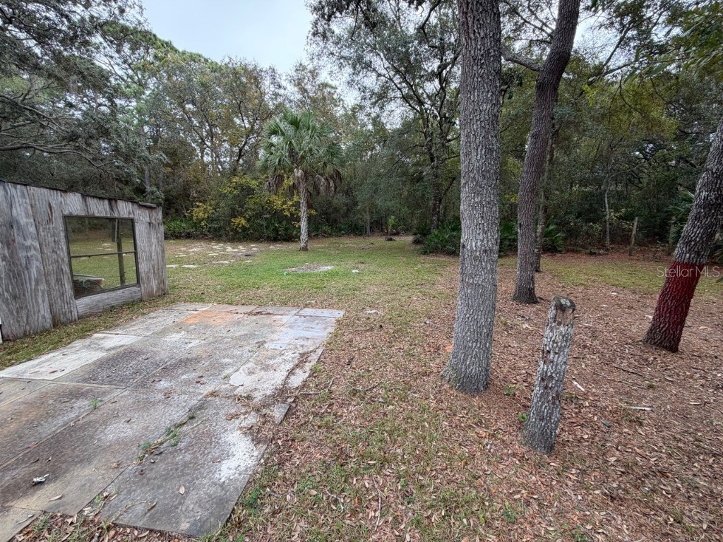 3241 S Edgeworth Terrace Homosassa FL 34448 TB8445927 image20