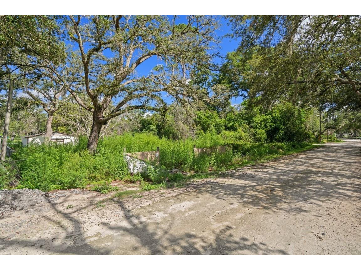 3241 Taffeta Street Dade City FL 33523 W7875821 image1