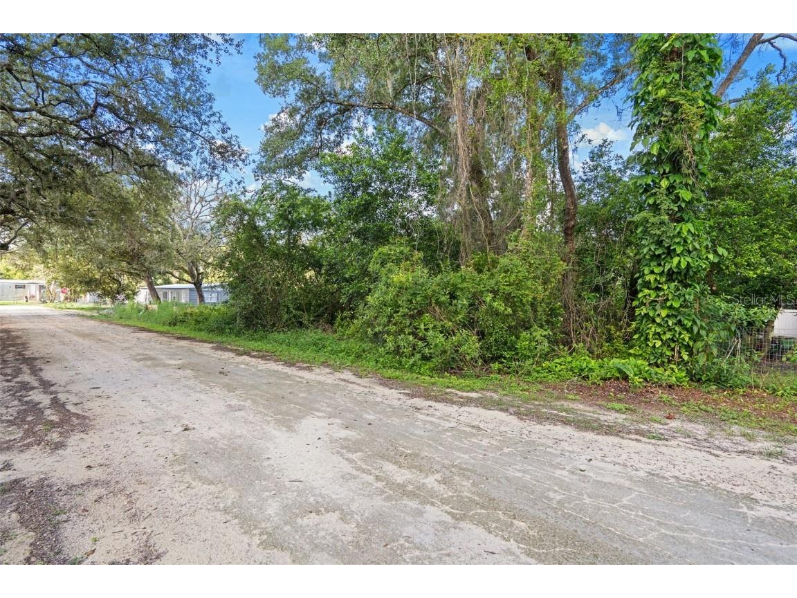 3241 Taffeta Street Dade City FL 33523 W7875821 image2