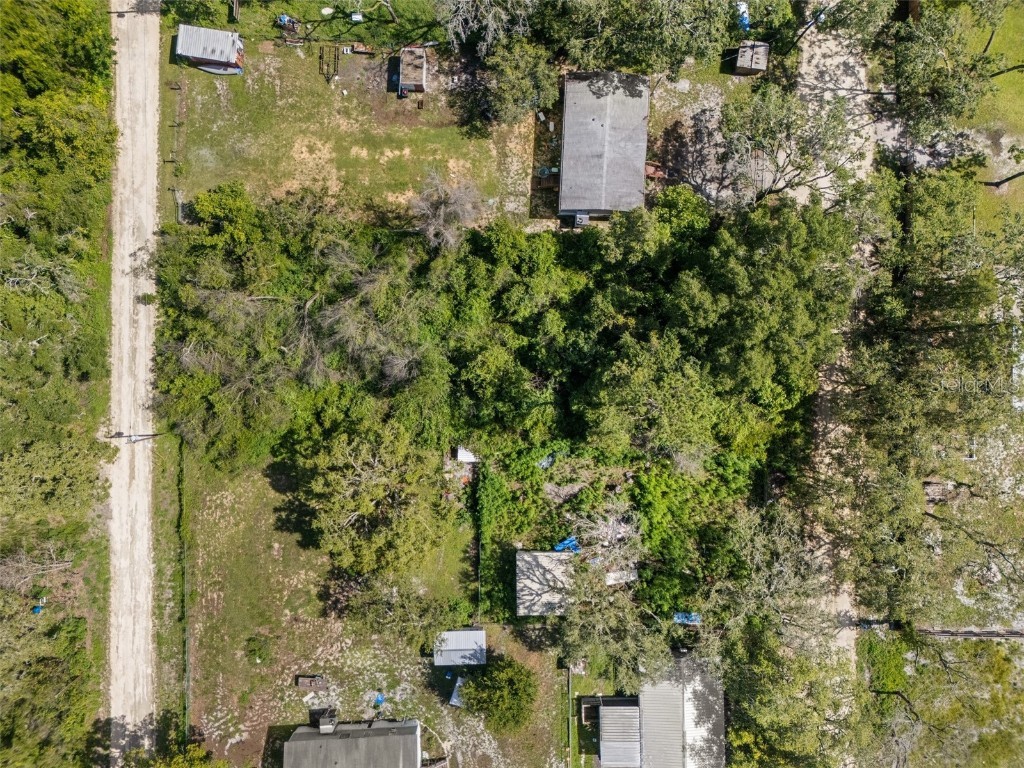 3241 Taffeta Street Dade City FL 33523 W7875821 image6