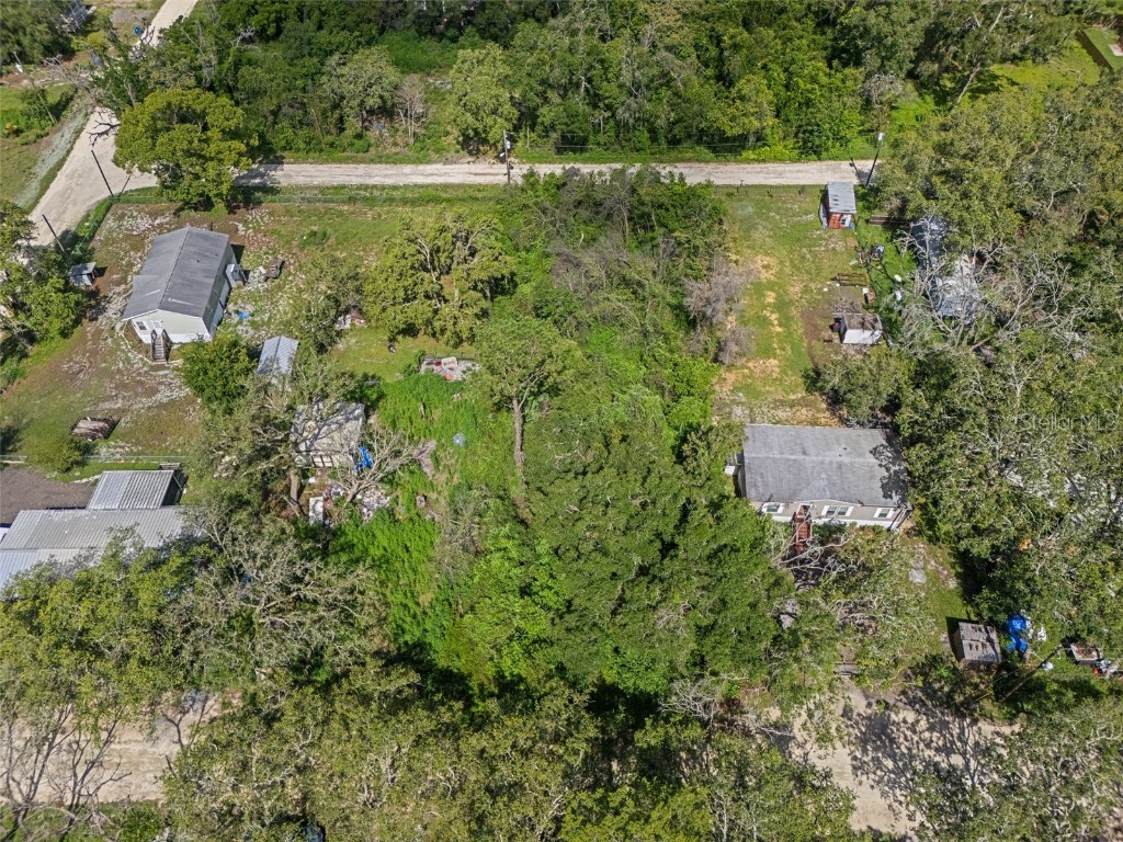 3241 Taffeta Street Dade City FL 33523 W7875821 image7