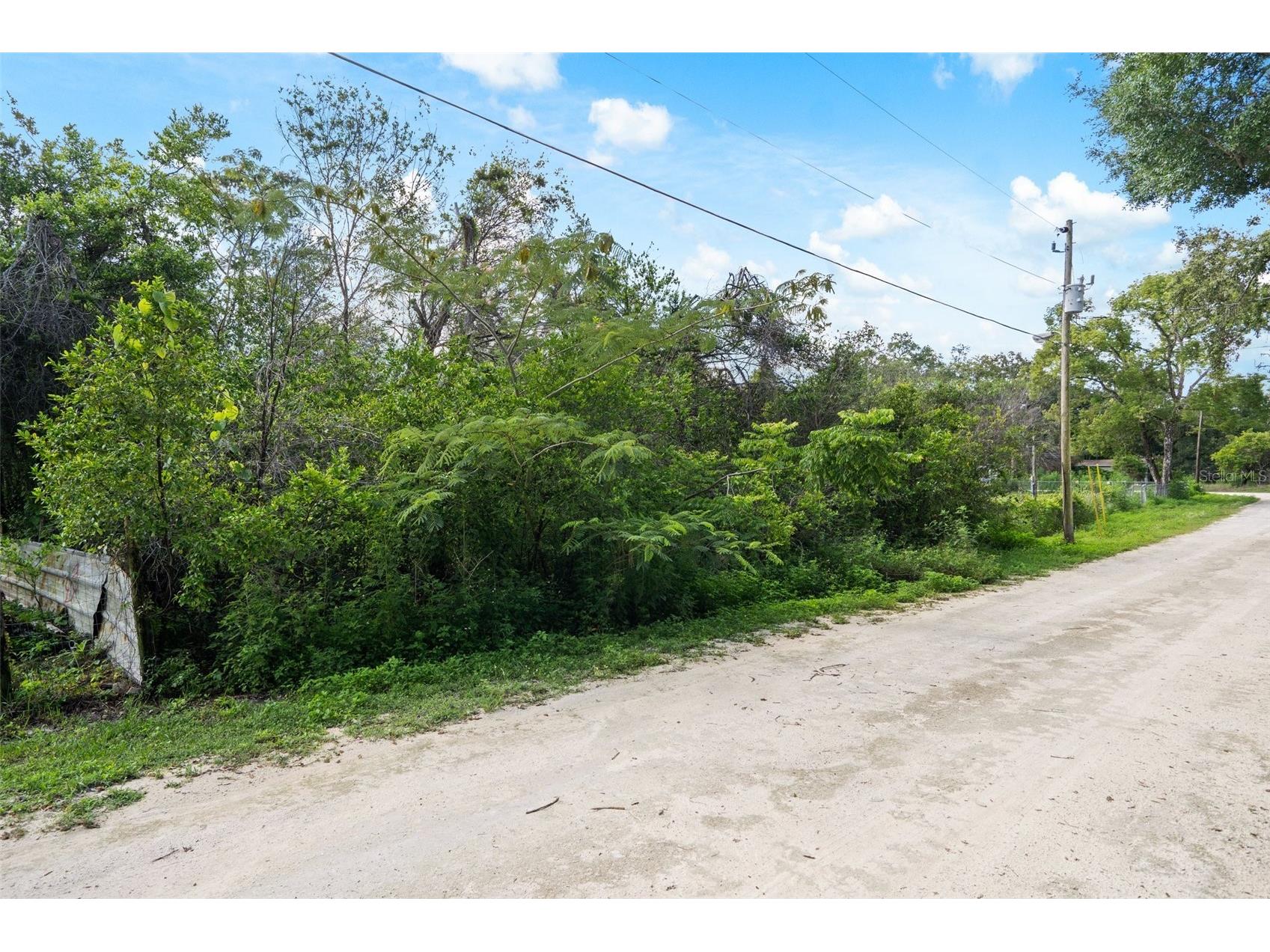 3241 Taffeta Street Dade City FL 33523 W7884143 image17