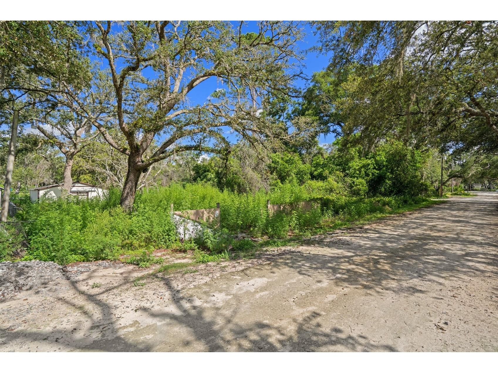 3241 Taffeta Street Dade City FL 33523 W7884143 image2