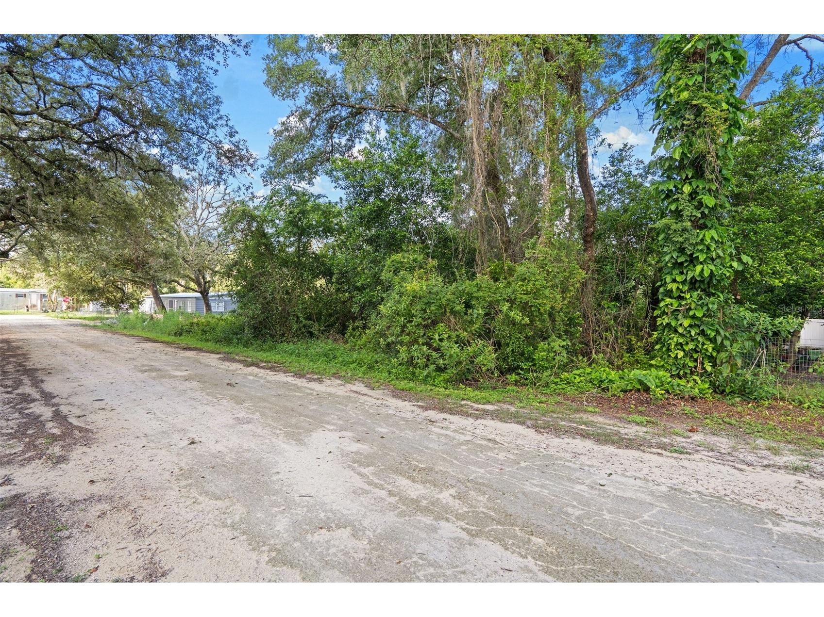 3241 Taffeta Street Dade City FL 33523 W7884143 image3