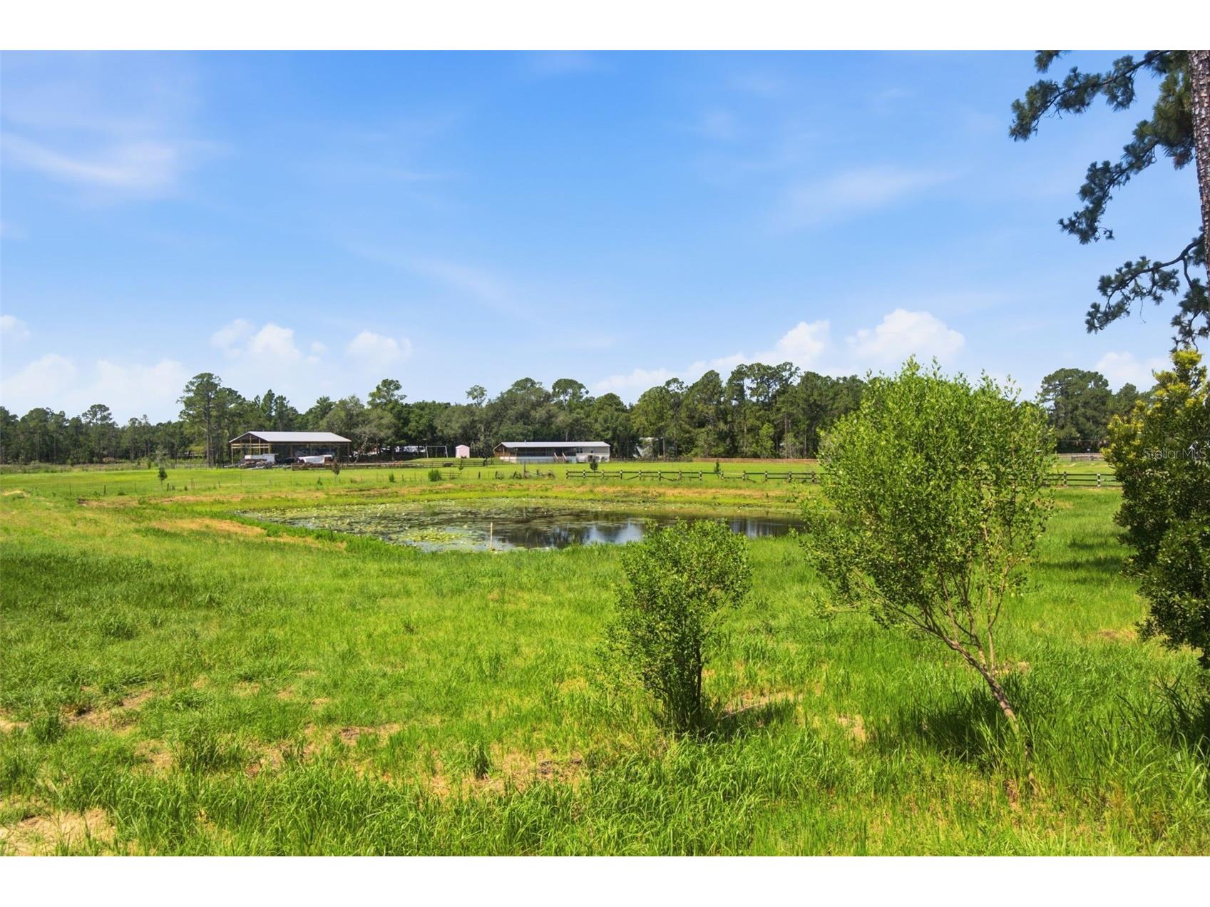 32416 Pine Road Eustis FL 32736 V4950029 image43