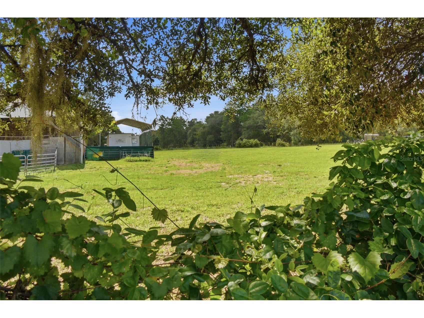 32416 Pine Road Eustis FL 32736 V4950029 image44