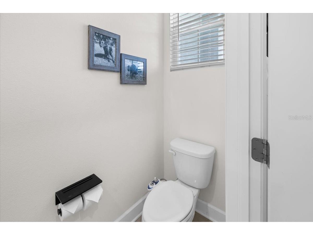 32419 Turtle Grace Loop Wesley Chapel FL 33545 TB8505451 image11