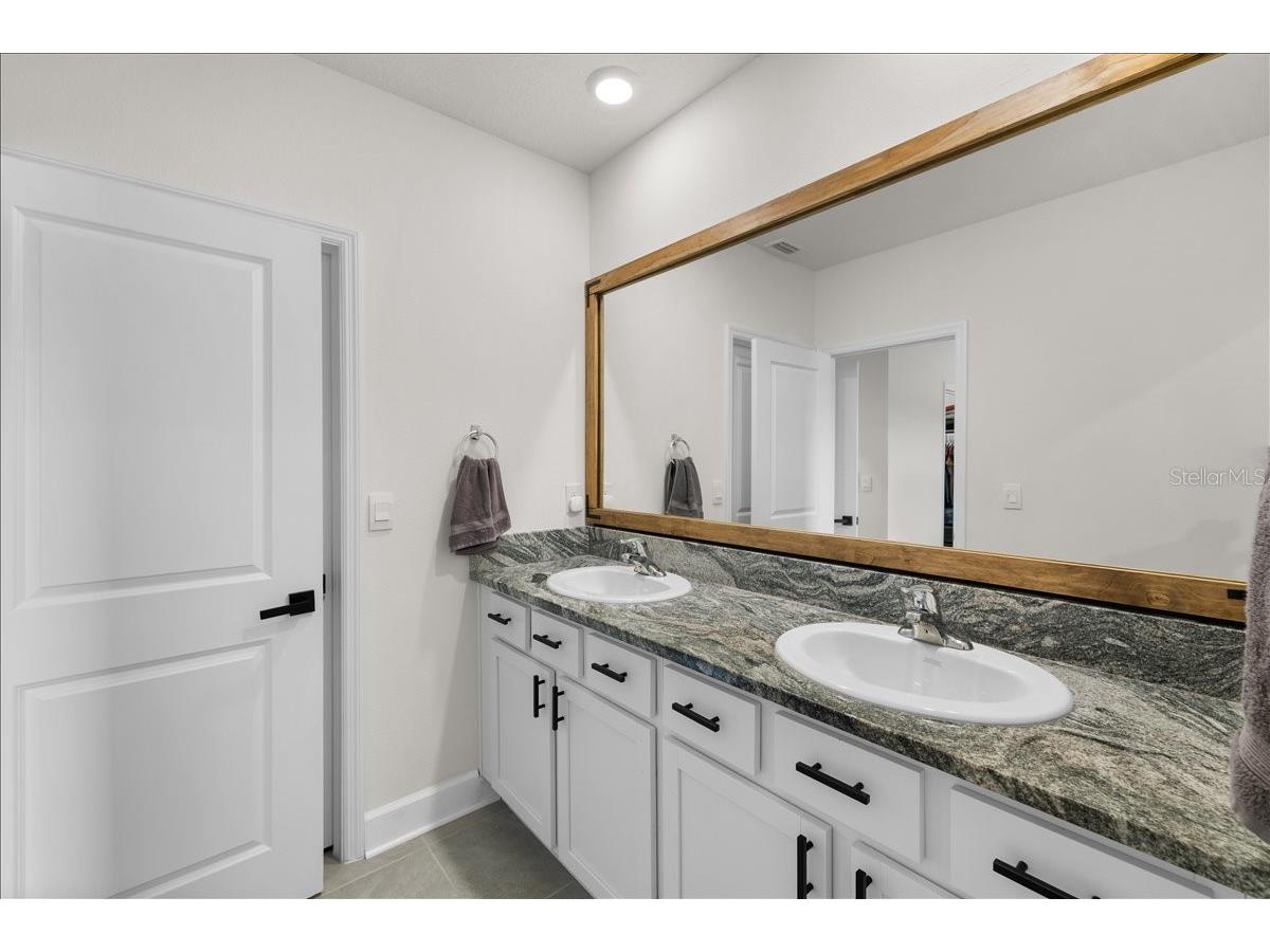 32419 Turtle Grace Loop Wesley Chapel FL 33545 TB8505451 image18