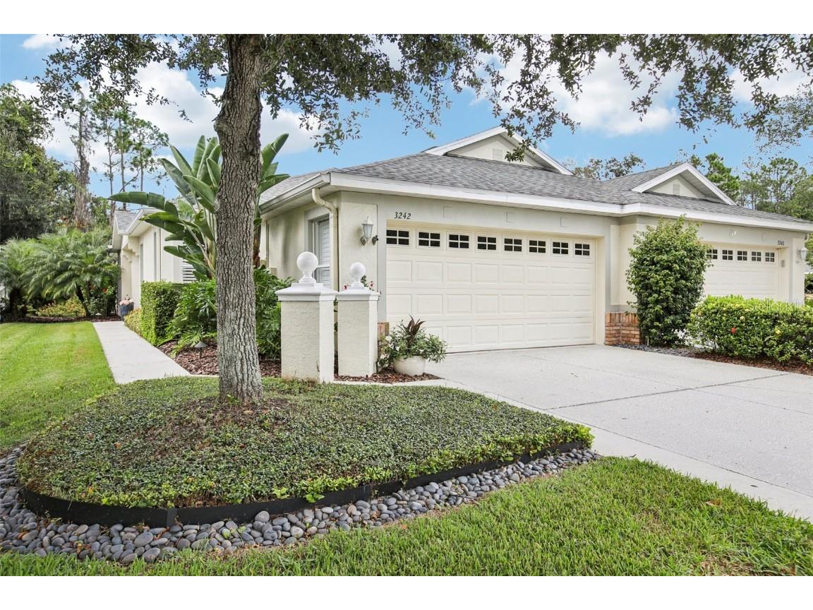 3242 Chapel Creek Circle Wesley Chapel FL 33544 TB8429402 image1