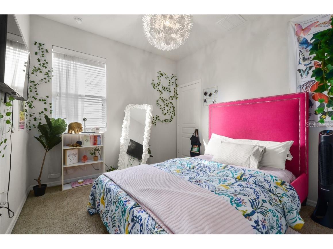 3242 Irish Peach Drive Winter Garden FL 34787 O6289752 image11