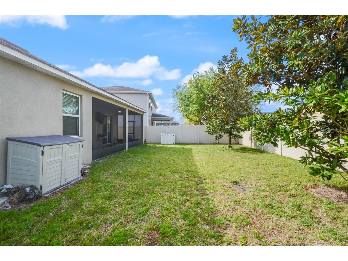 3242 Irish Peach Drive Winter Garden FL 34787 O6289752 image32