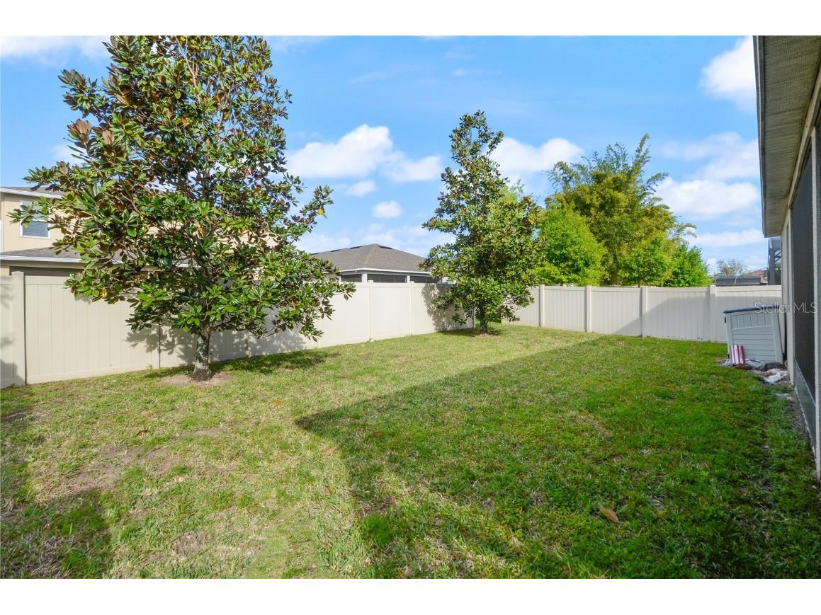 3242 Irish Peach Drive Winter Garden FL 34787 O6289752 image34