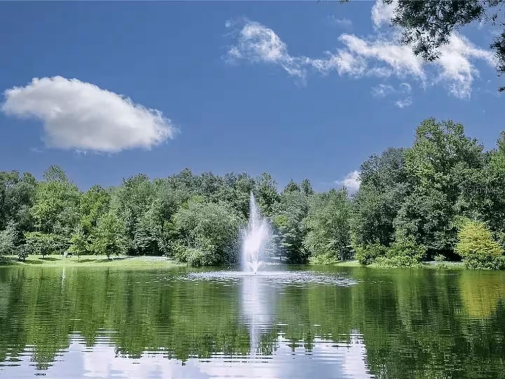 3242 NW 23rd Road Gainesville FL 32605 S5137836 image19