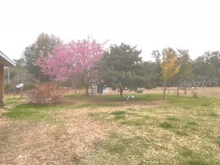 32420 County Road 473 Leesburg FL 34788 G5111644 image11