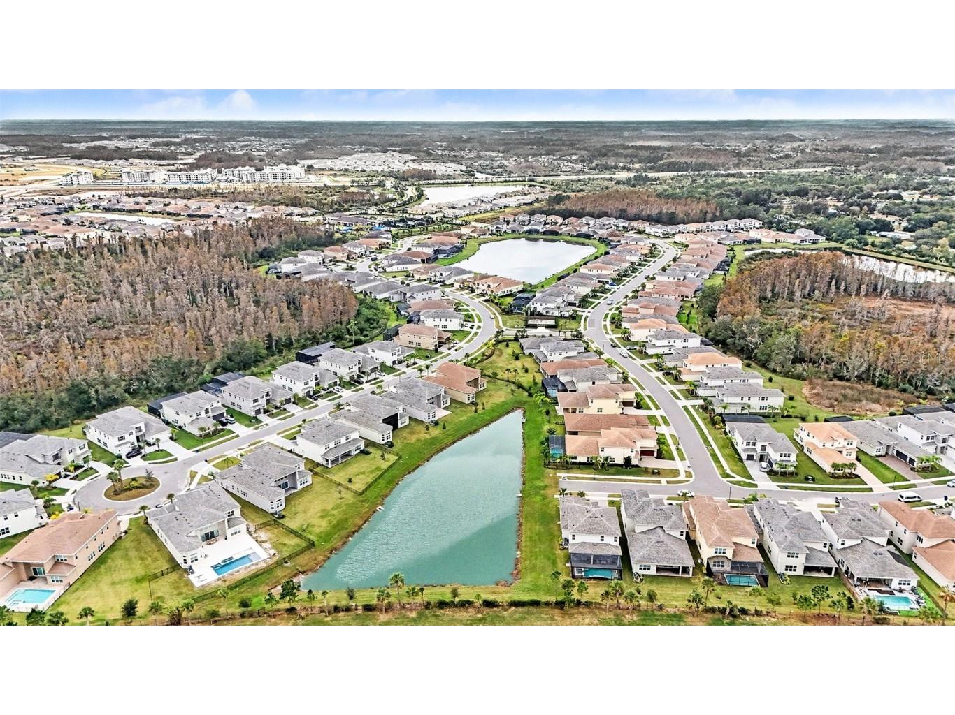 32423 Rosewood Meadow Lane Wesley Chapel FL 33543 TB8454602 image32