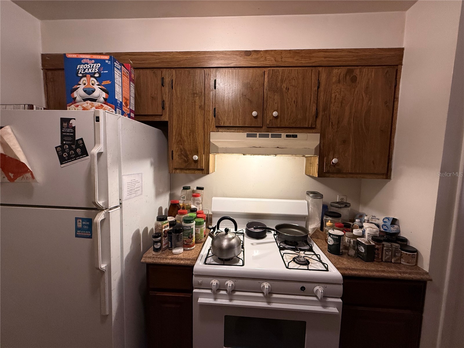 3243 & 3245 Split Willow Drive Orlando FL 32808 O6388991 image11