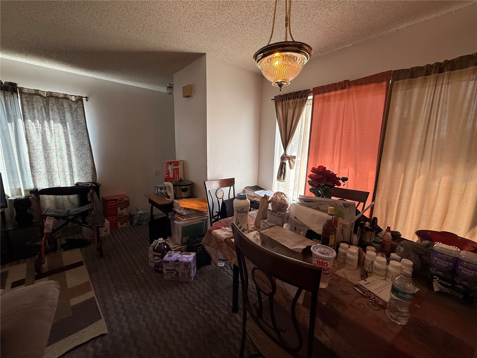 3243 & 3245 Split Willow Drive Orlando FL 32808 O6388991 image5