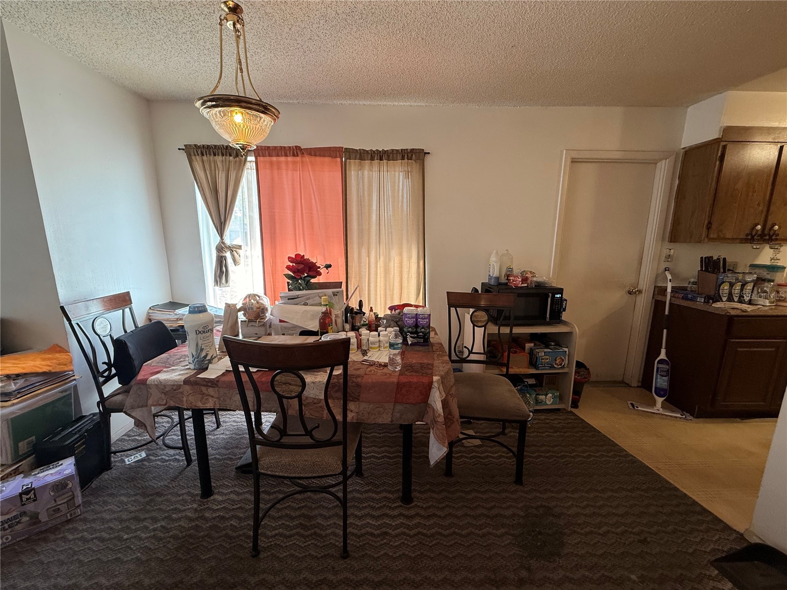 3243 & 3245 Split Willow Drive Orlando FL 32808 O6388991 image6