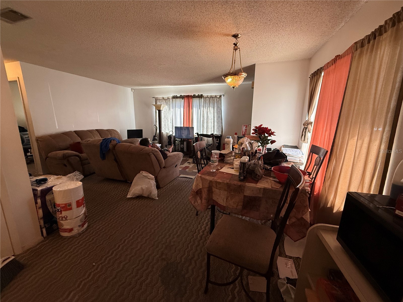 3243 & 3245 Split Willow Drive Orlando FL 32808 O6388991 image8