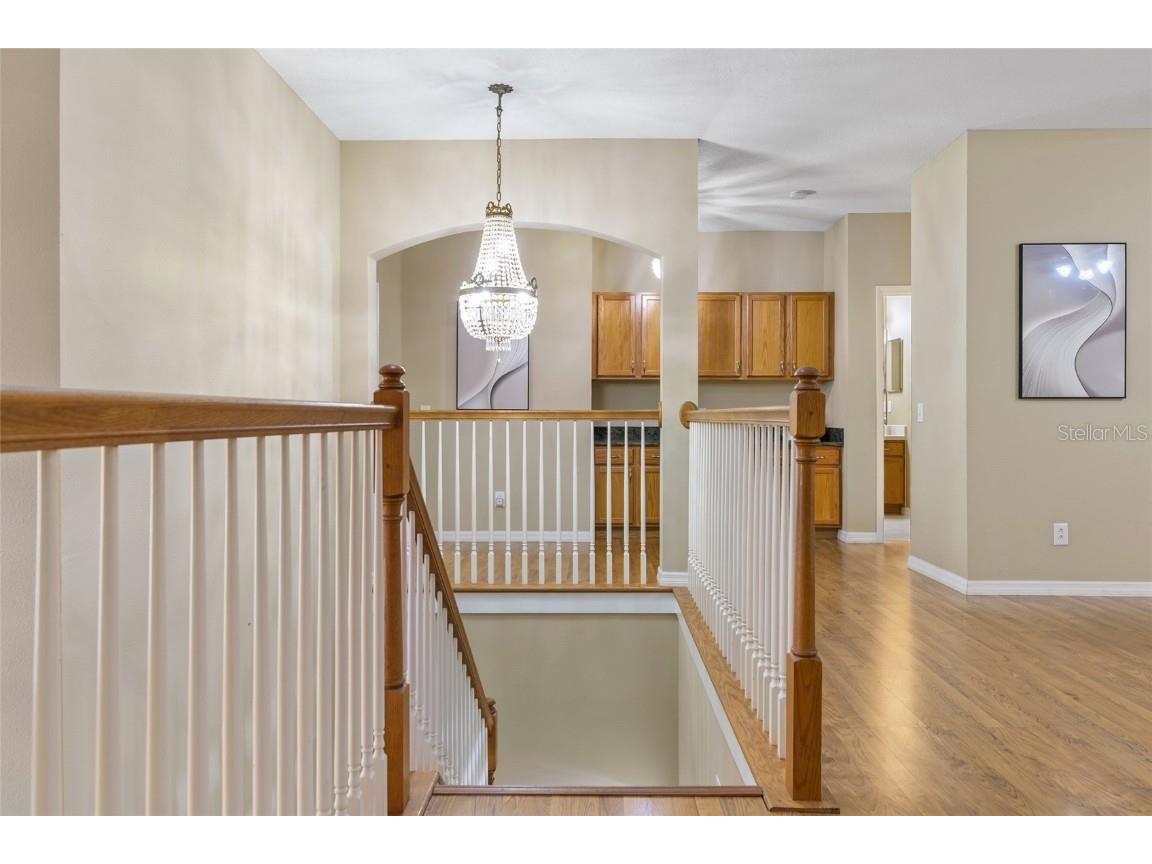 3243 Ashmonte Drive Land O Lakes FL 34638 TB8372517 image26