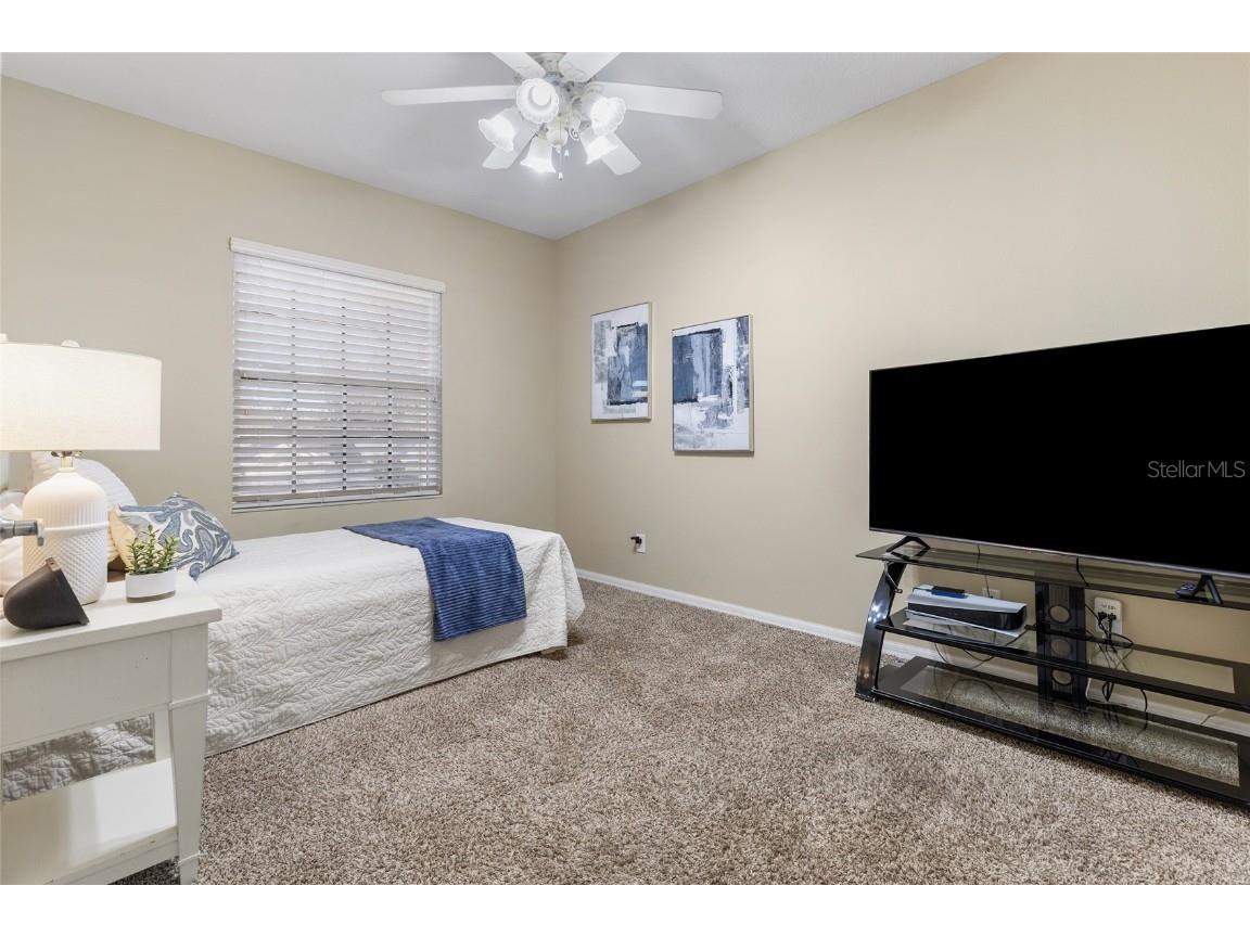 3243 Ashmonte Drive Land O Lakes FL 34638 TB8372517 image47