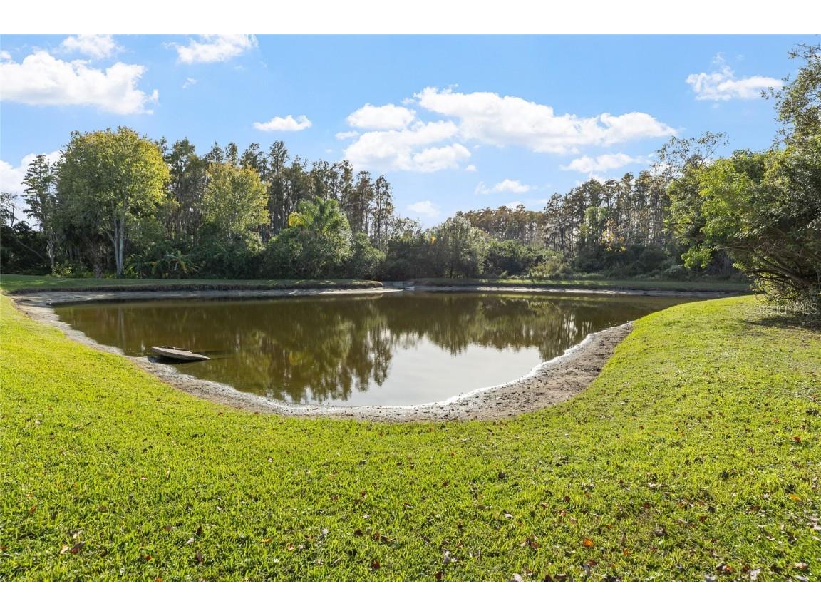 3243 Ashmonte Drive Land O Lakes FL 34638 TB8372517 image63