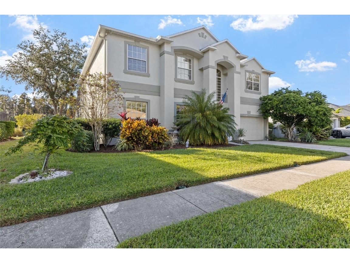 3243 Ashmonte Drive Land O Lakes FL 34638 TB8372517 image64
