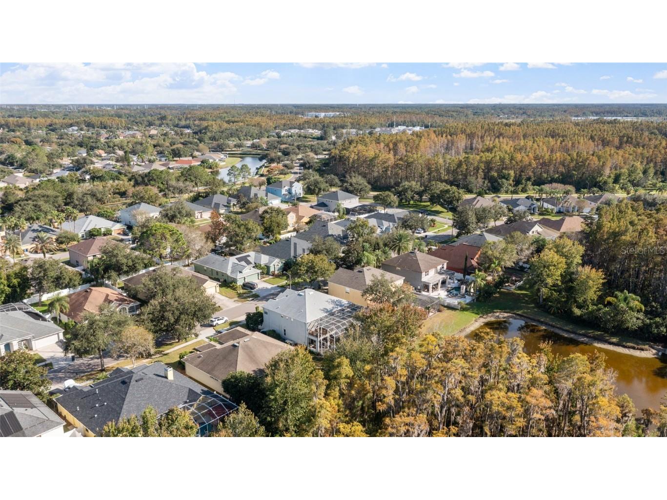 3243 Ashmonte Drive Land O Lakes FL 34638 TB8372517 image72