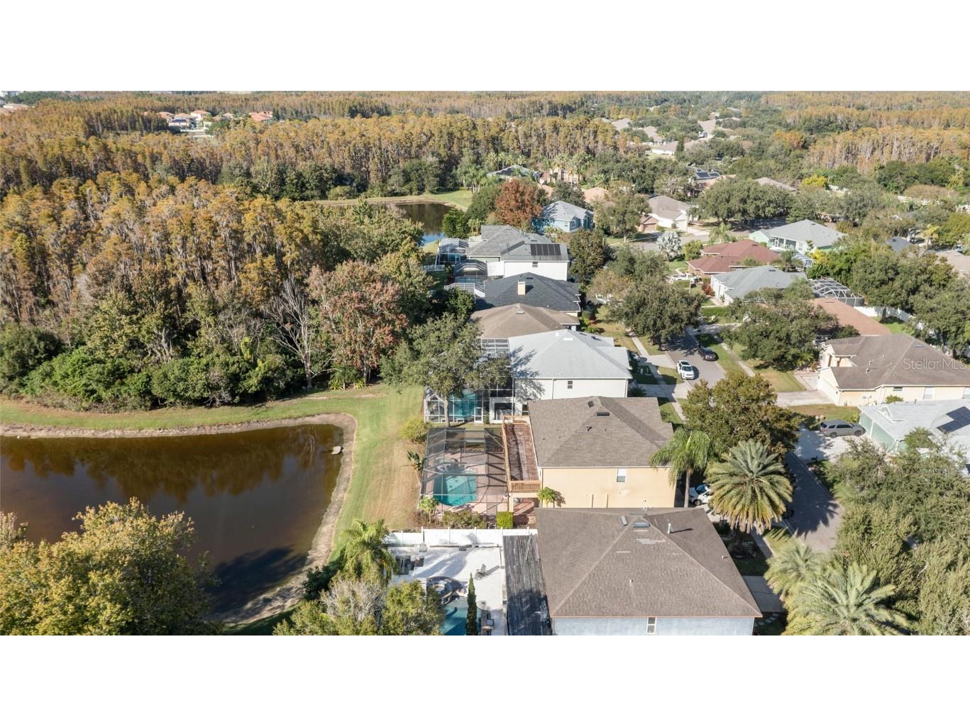 3243 Ashmonte Drive Land O Lakes FL 34638 TB8372517 image74