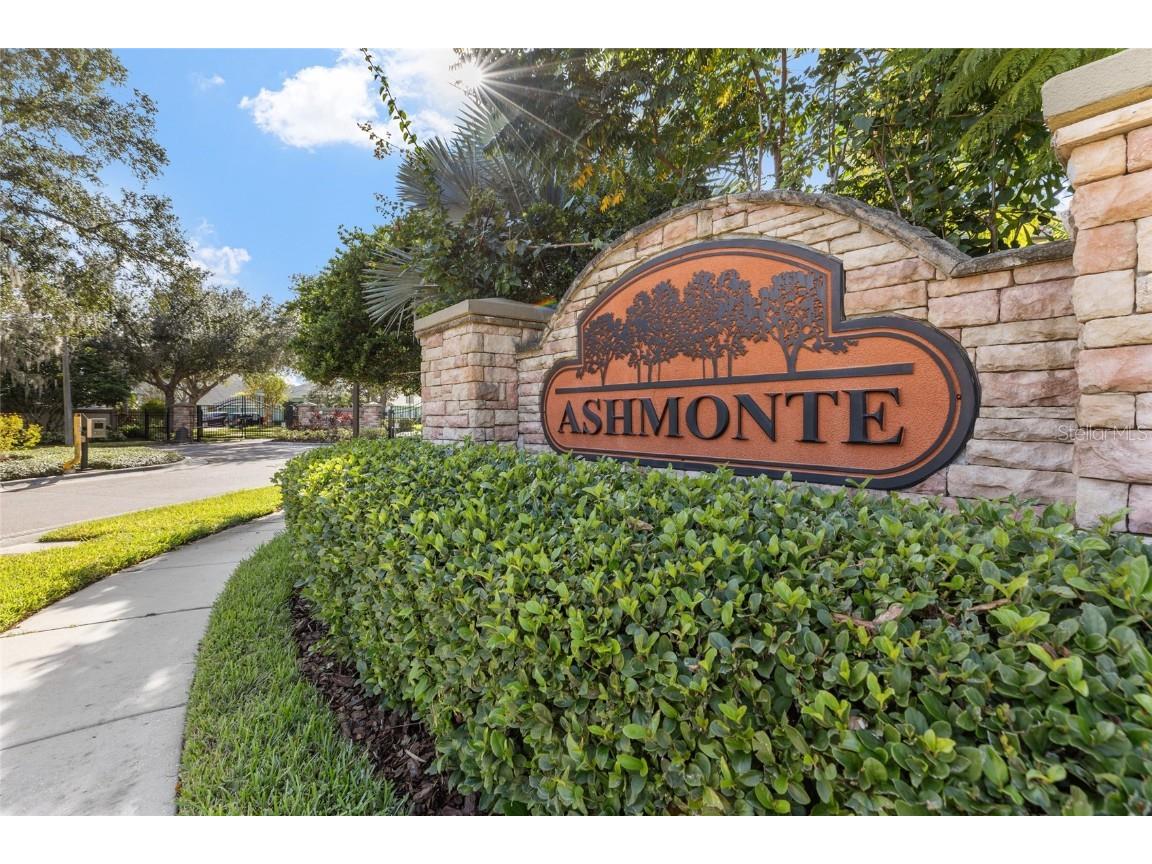 3243 Ashmonte Drive Land O Lakes FL 34638 TB8372517 image75