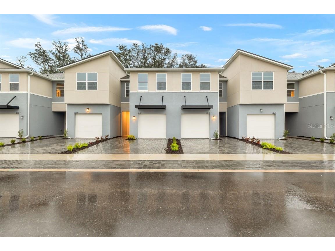 3243 Feather Haven Place Brandon FL 33511 TB8338151 image1