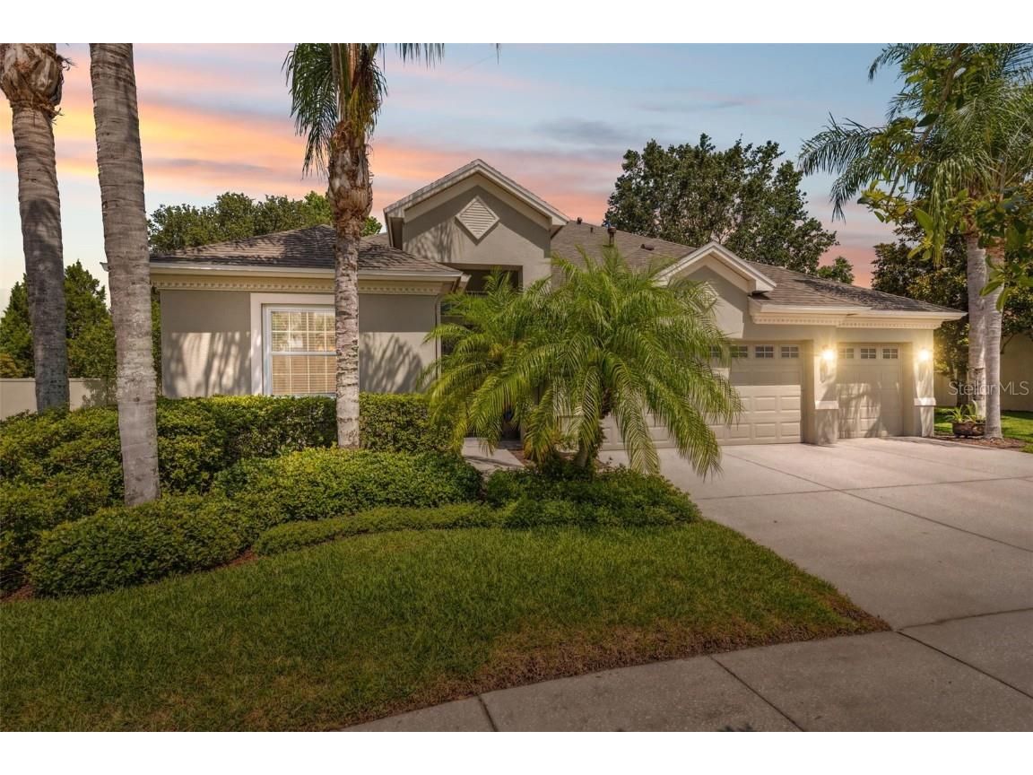 3243 Stonegate Falls Drive Land O Lakes FL 34638 W7875731 image1