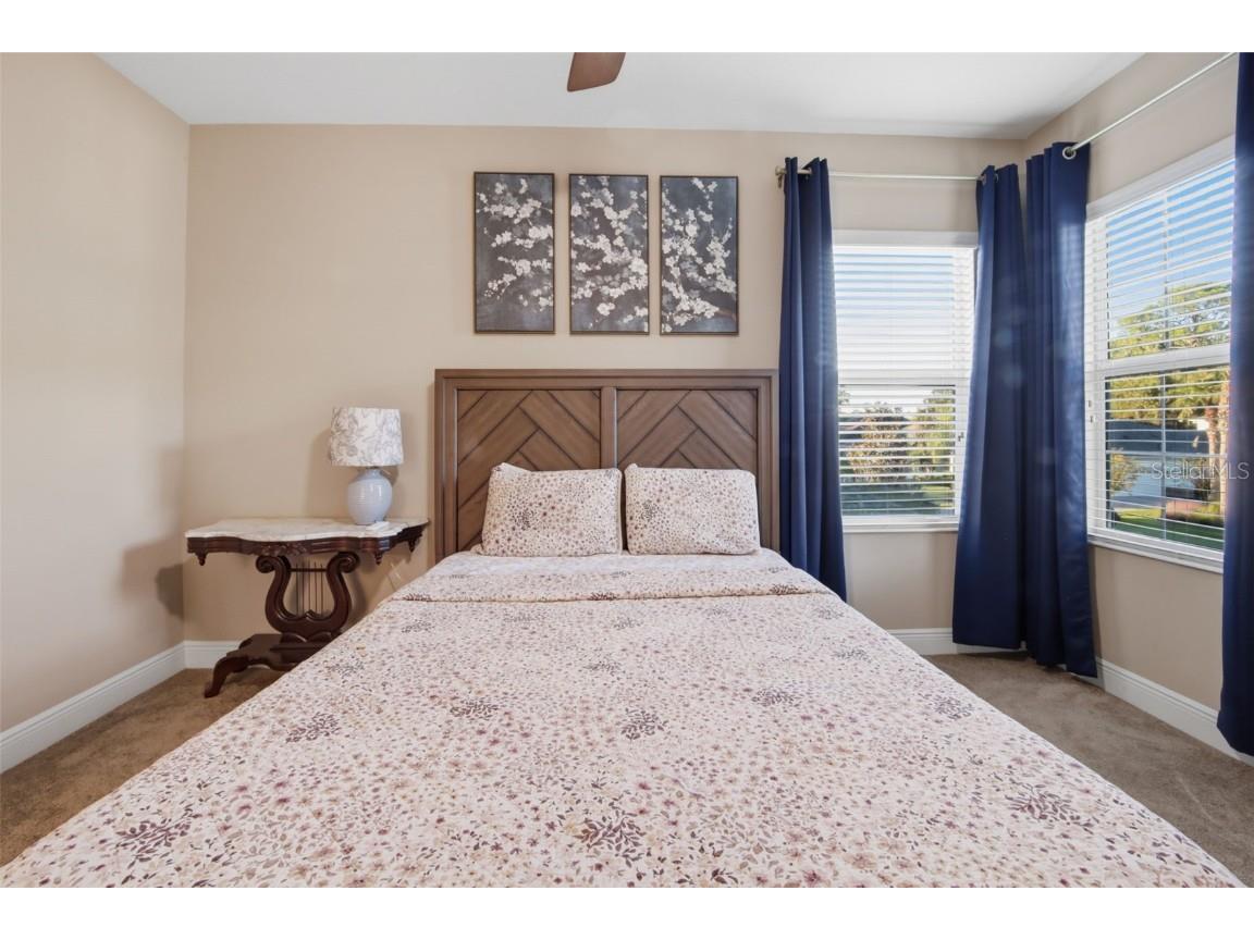 3243 Watermark Drive Wesley Chapel FL 33544 TB8445136 image29