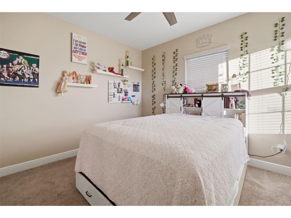 3243 Watermark Drive Wesley Chapel FL 33544 TB8445136 image30