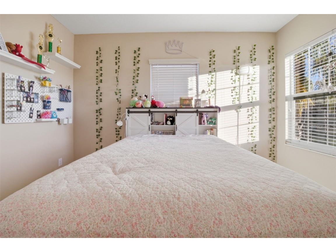 3243 Watermark Drive Wesley Chapel FL 33544 TB8445136 image31