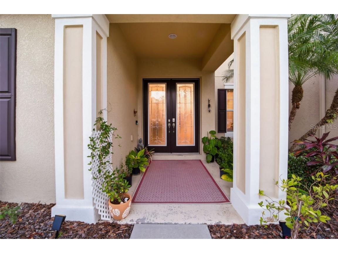 3243 Watermark Drive Wesley Chapel FL 33544 TB8445136 image54