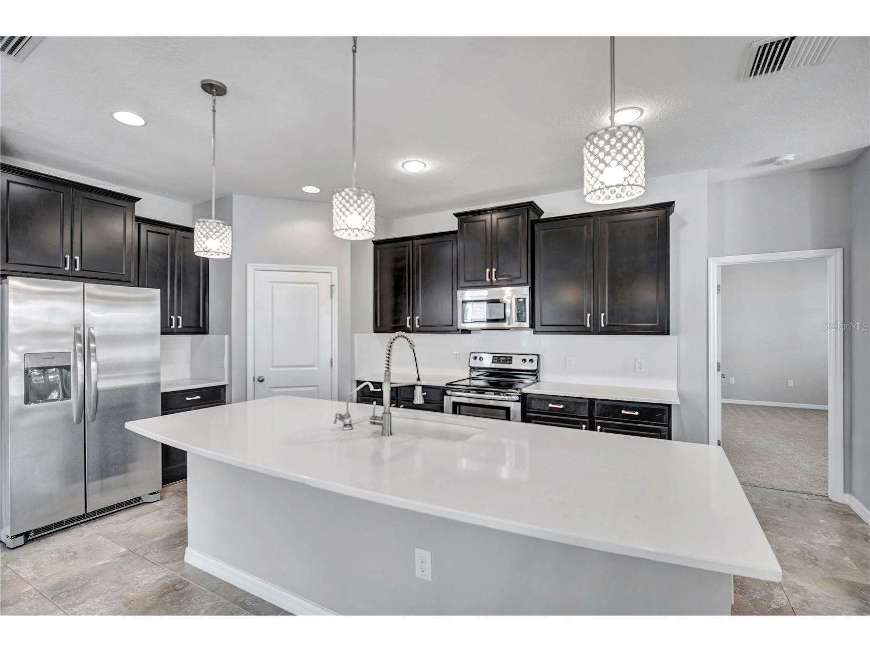 32430 Bannack Lane Wesley Chapel FL 33543 TB8494101 image3